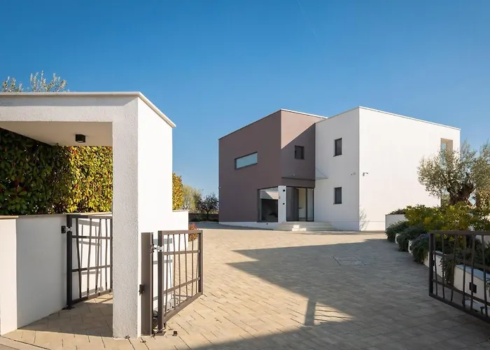 Old Olive Viii By Interhome