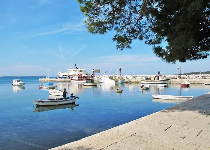 Old Olive Viii By Interhome * 보드냔