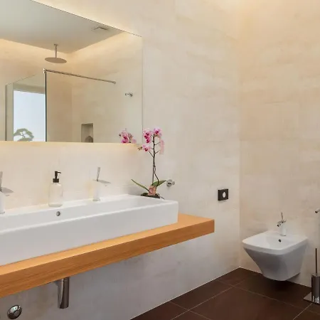 Old Olive Viii By Interhome Villa