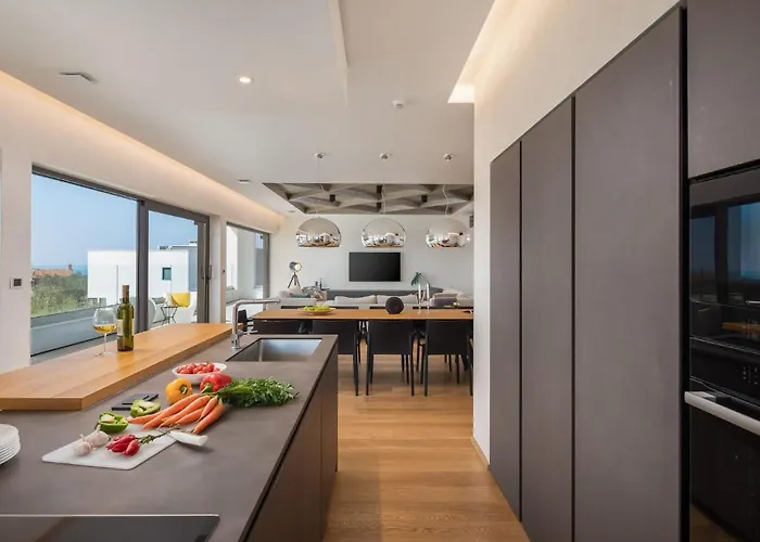 Villa Old Olive Viii By Interhome Vodnjan